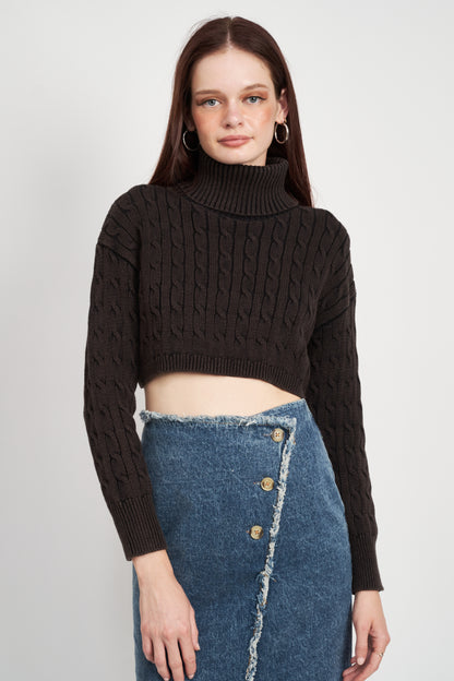 Tetra Turtleneck Crop Top