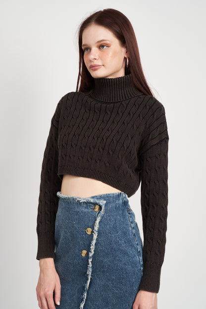Tetra Turtleneck Crop Top